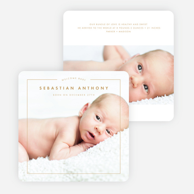 Classic Border - Beige