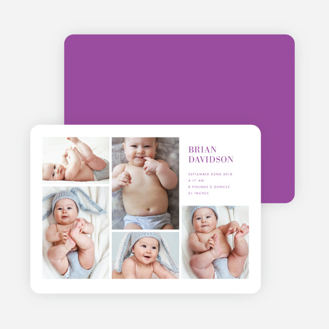 Photo Abundance - Purple