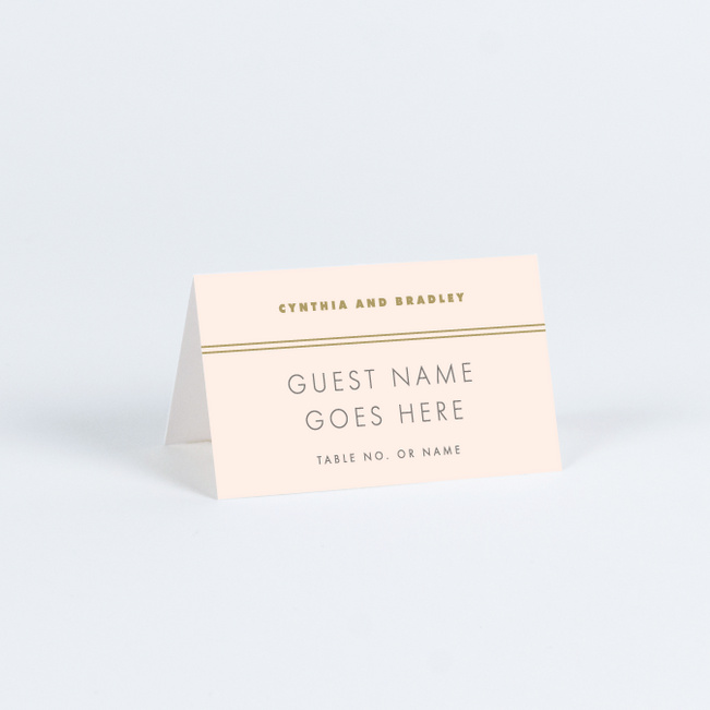 Chic Floral Place Cards - Blue