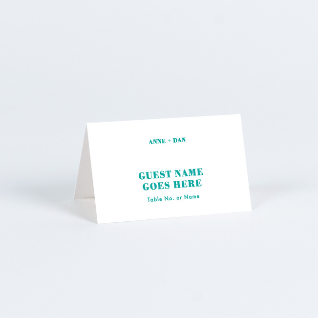 Simply Married Place Cards - Blue