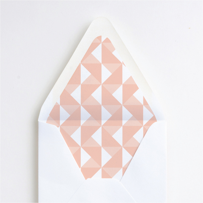 Bold Type Envelope Liners - Pink