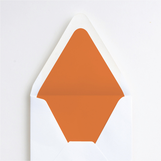 Modern and Classic Envelope Liners - Orange