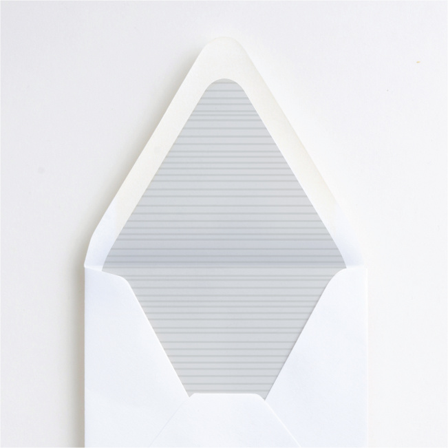 Simple Lines Envelope Liners - Gray