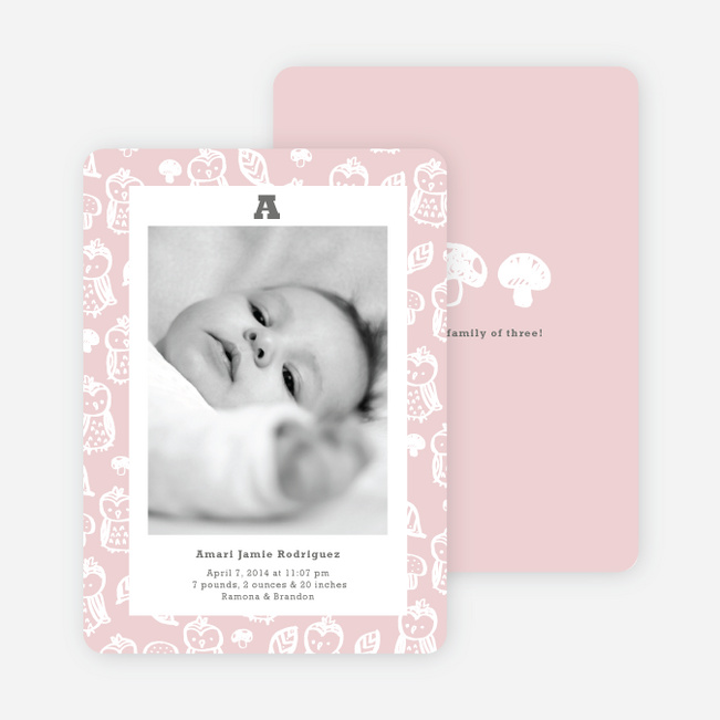 Framed Owl Birth Announcements - Craddle Pinky