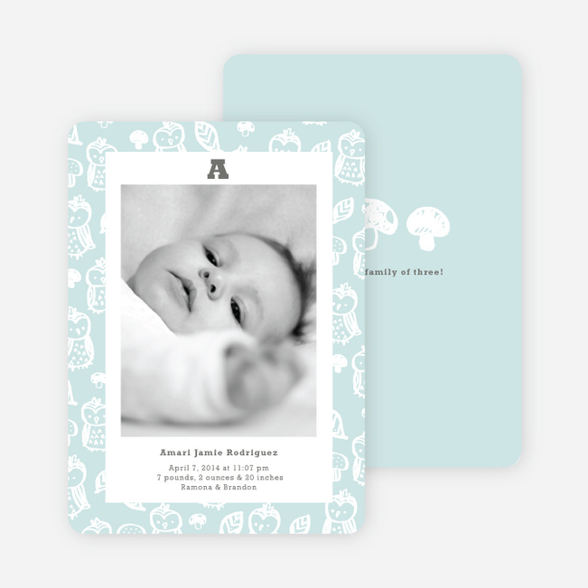 Framed Owl Birth Announcements - Blue Bib