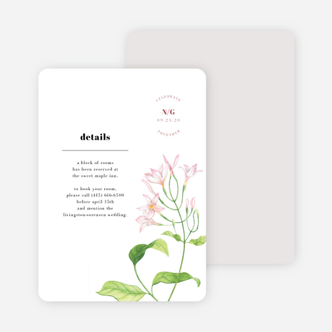 Wine Country Wedding Information Cards - White