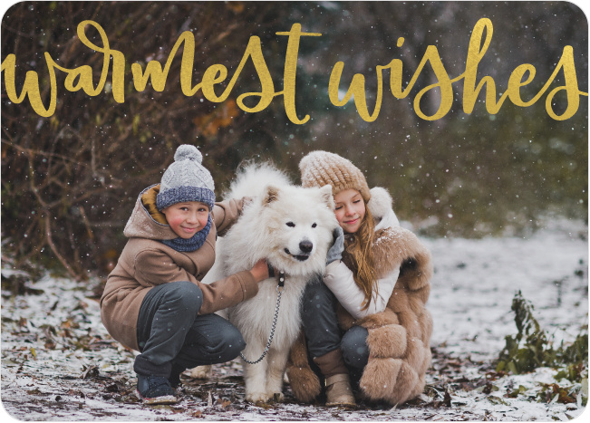 Warm Wishes Holiday Cards | Paper Culture