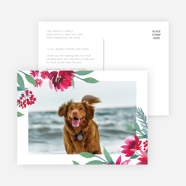 Summer Memories Holiday Cards - White