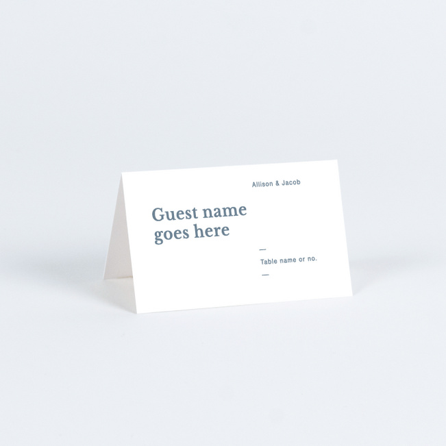 Novel Idea Wedding Name Cards & Place Cards - Blue