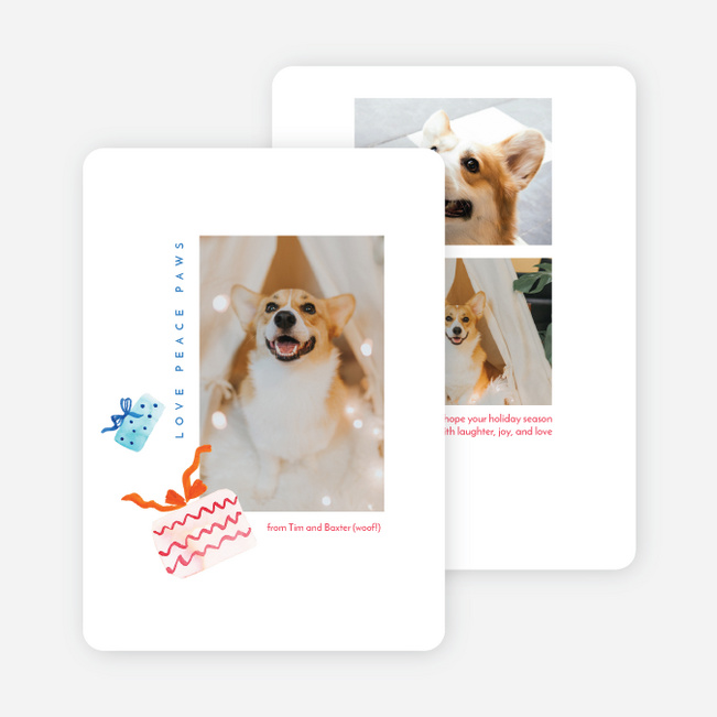 Love Peace Paws Multi Photo Holiday Cards - Multi