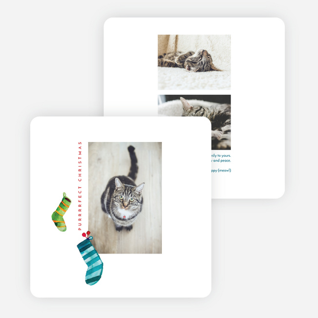 Little Stockings Christmas Cards - Multi