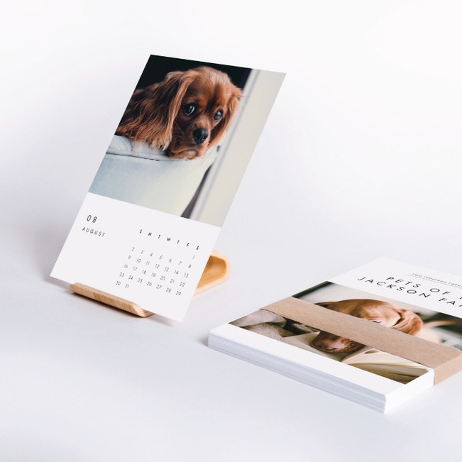 Pet Calendars The Perfect Gifts Paper Culture