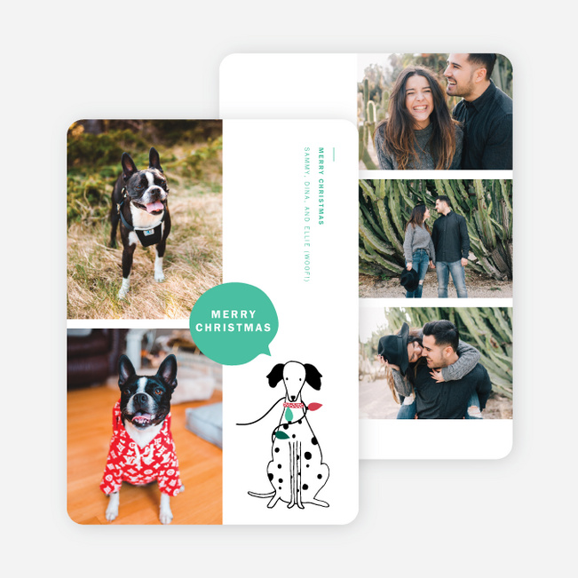 Everything is Pawsome Christmas Cards - Multi