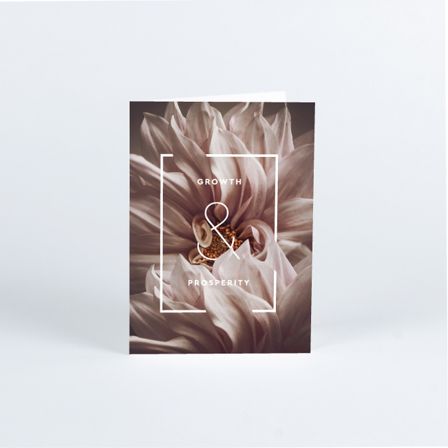 Beautiful Prosperity Corporate Holiday Cards & Corporate Christmas Cards - Pink