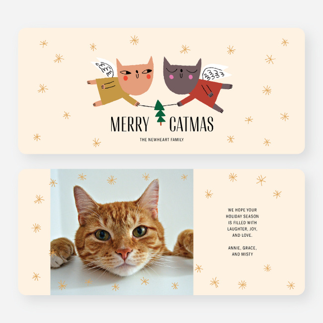 Merry Catmas Christmas Cards - Multi