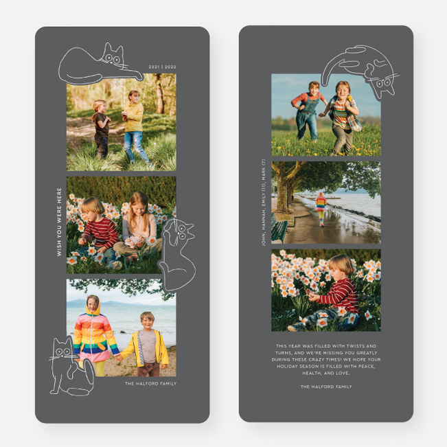 Cat Shaped Friend Multi Photo Holiday Cards - Gray