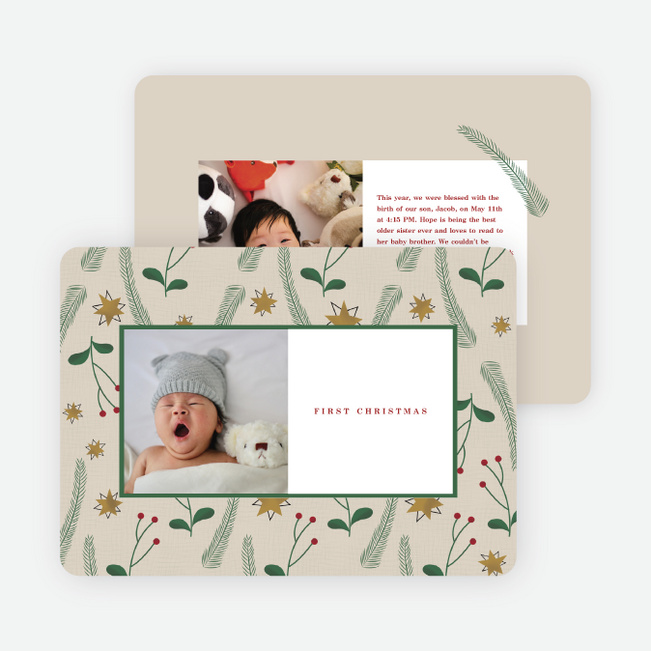 Stars and Pine Christmas Cards - Multi