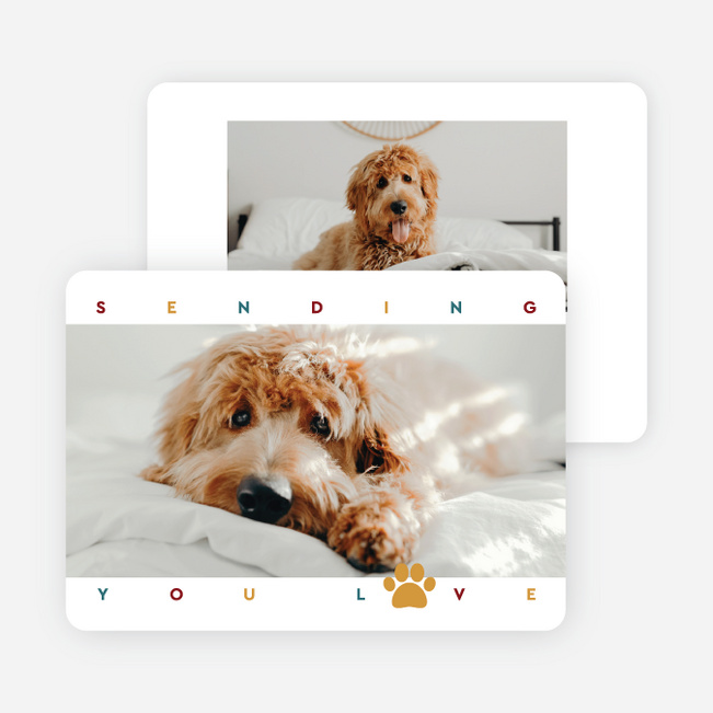 Pet Sending Love Holiday Cards and Invitations - White