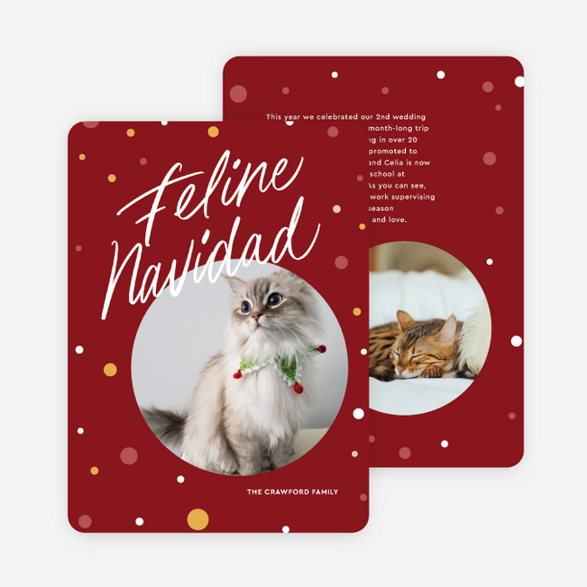 Feline Navidad Holiday Cards and Invitations - Red