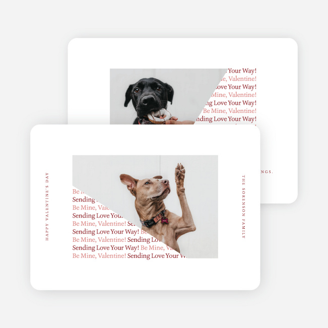 Puppy Kind of Love Valentine’s Day Cards - Red