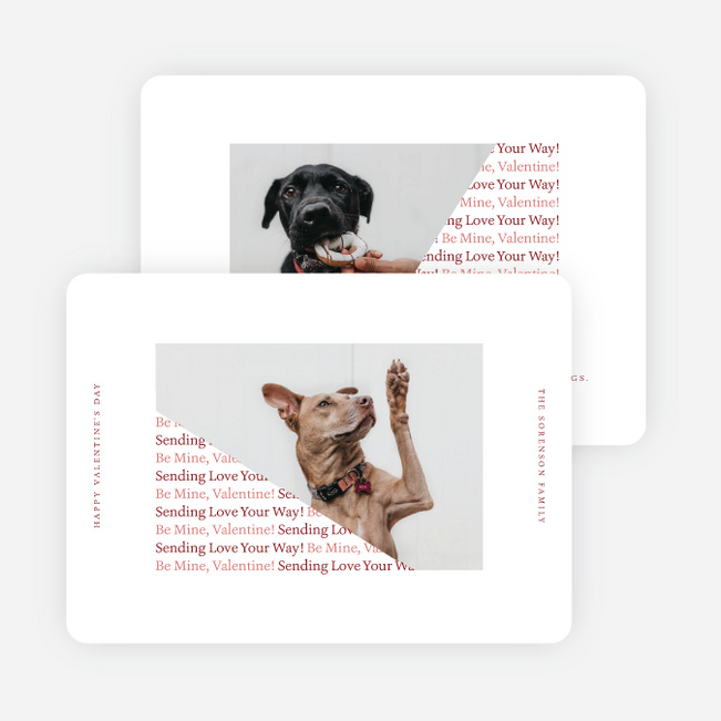 Puppy Kind of Love Valentine’s Day Cards - Red