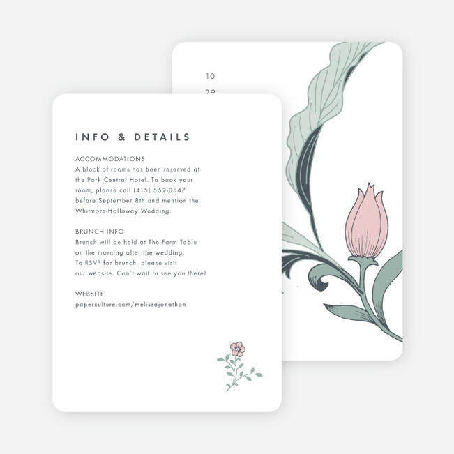 Romantic Simplicity Wedding Information Cards - Multi