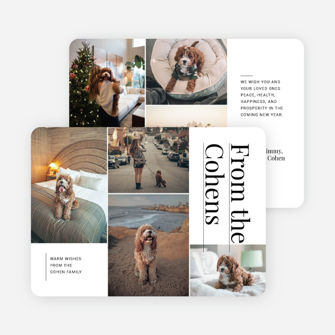 Precious Snapshots Holiday Cards and Invitations - White