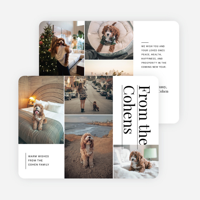 Precious Snapshots Holiday Cards and Invitations - White