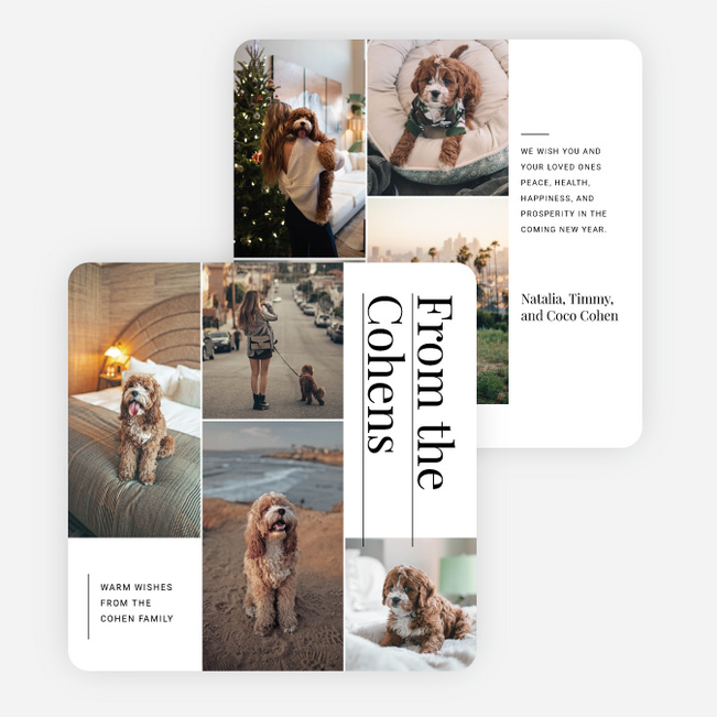 Precious Snapshots Holiday Cards and Invitations - White
