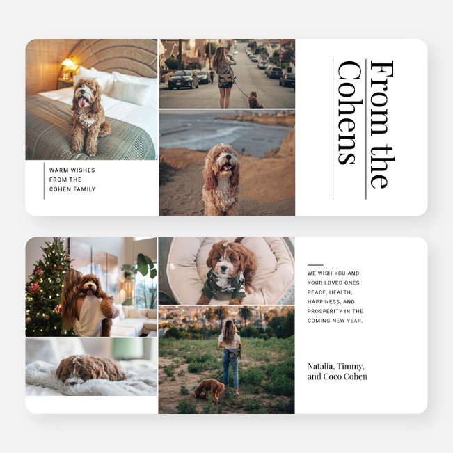 Precious Snapshots Holiday Cards and Invitations - White