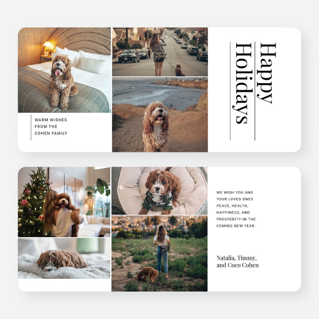Precious Snapshots Holiday Cards and Invitations - White