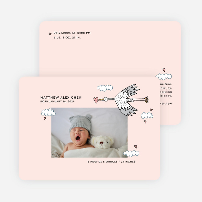Stork Package Birth Announcements - Pink