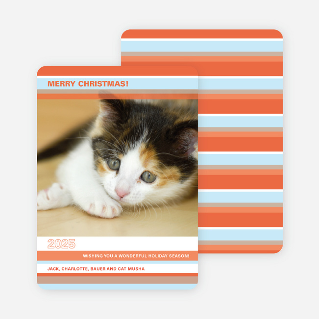 Colorful Stripes Holiday Photo Cards - Cinnamon