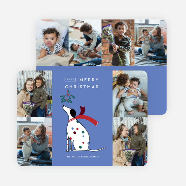 Mistletoe Woof Christmas Cards - Blue