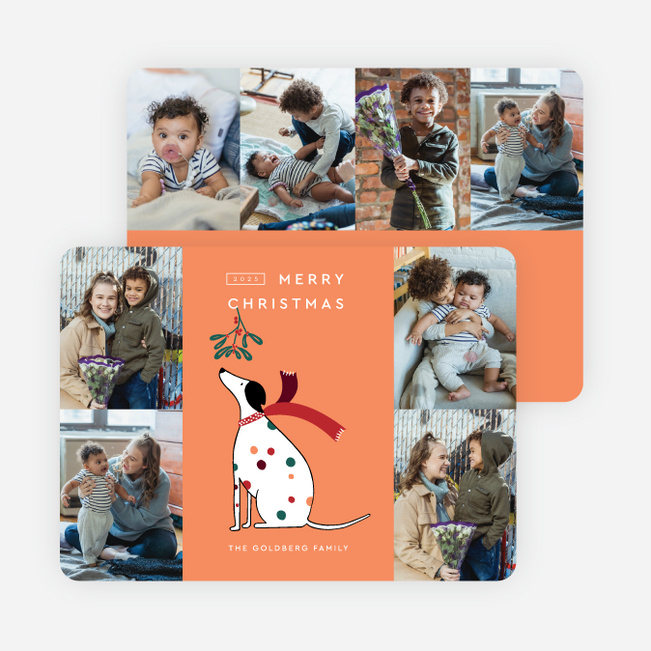 Mistletoe Woof Christmas Cards - Orange