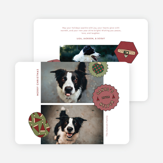The Pet Set Christmas Cards - Red