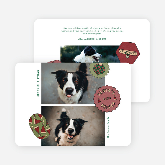 The Pet Set Christmas Cards - Green