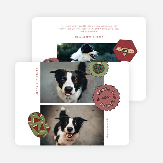 The Pet Set Christmas Cards - Red