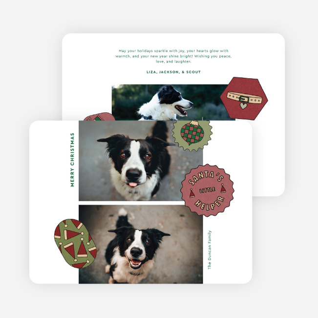 The Pet Set Christmas Cards - Green