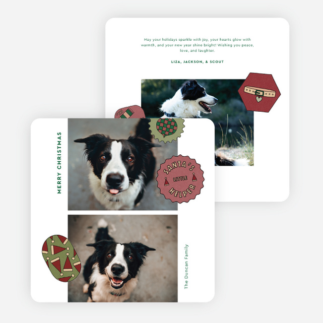 The Pet Set Christmas Cards - Green
