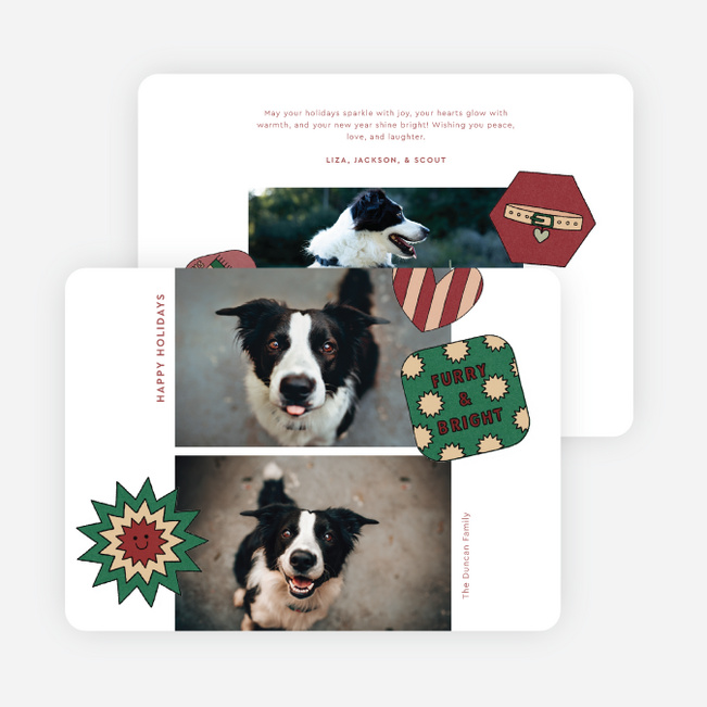 The Pet Set Holiday Cards and Invitations - Red