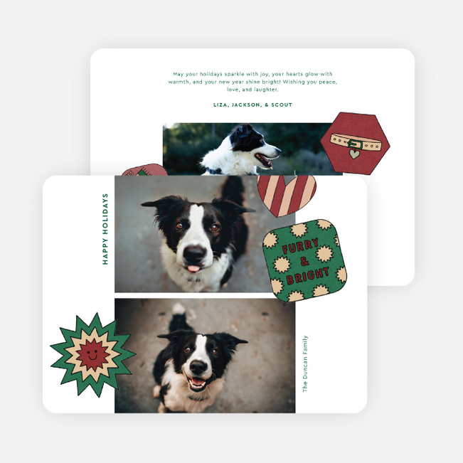 The Pet Set Holiday Cards and Invitations - Green