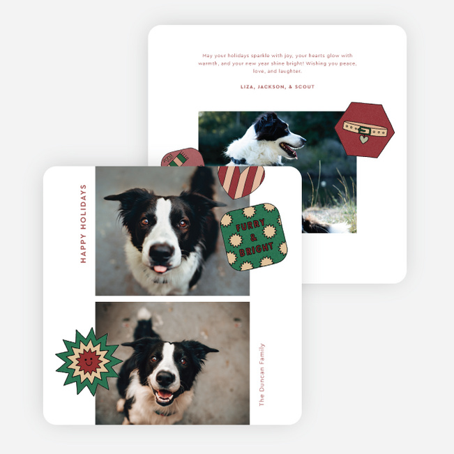 The Pet Set Holiday Cards and Invitations - Red