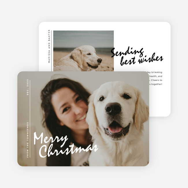 Purely Present Christmas Cards - White