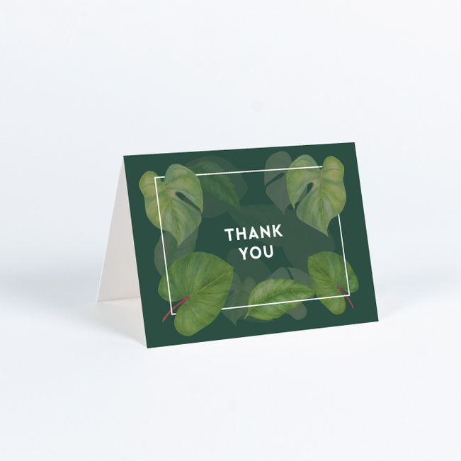 Thank You Cards