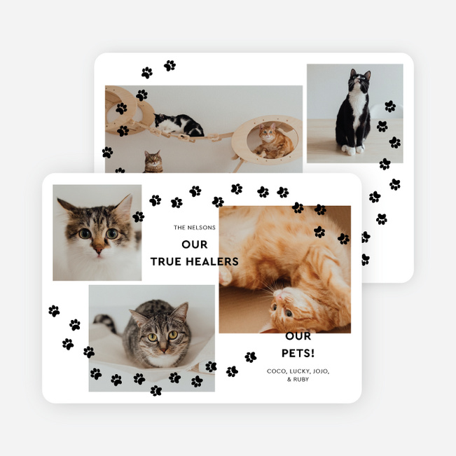 Paw Prints Galore Holiday Cards and Invitations - White