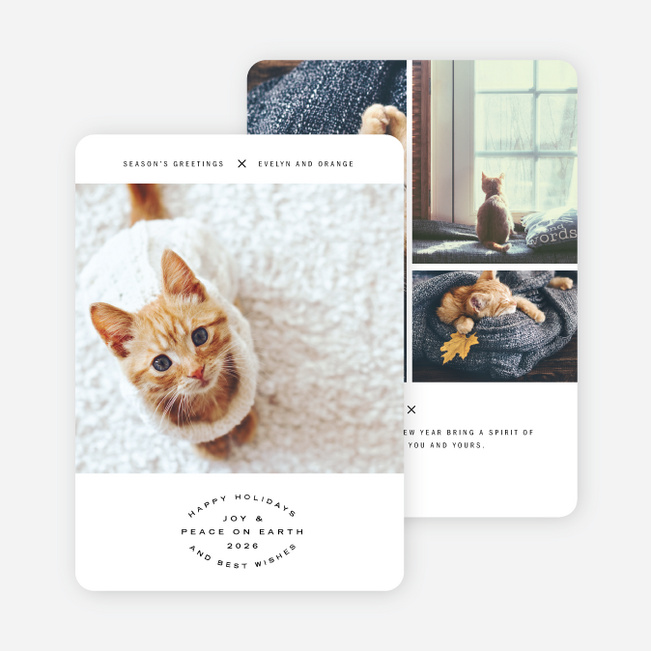 X Marks The Spot Holiday Cards - Black