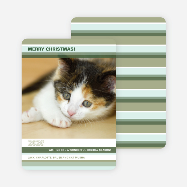 Colorful Stripes Holiday Photo Cards - Bamboo