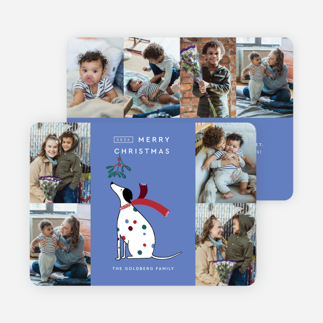 Mistletoe Woof Christmas Cards - Blue