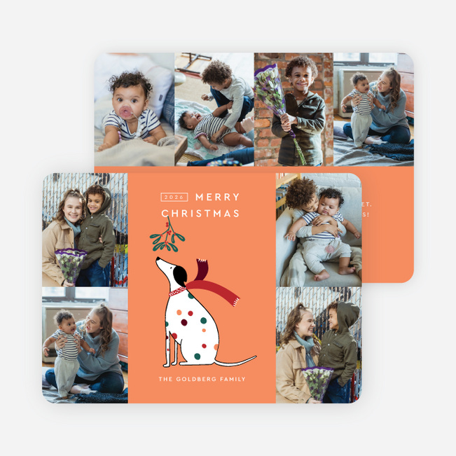 Mistletoe Woof Christmas Cards - Orange